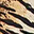 Tiger Print